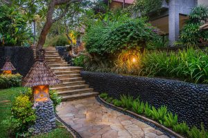 Outdoor Garden