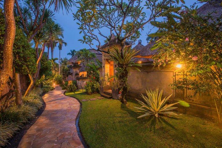 Outdoor Garden